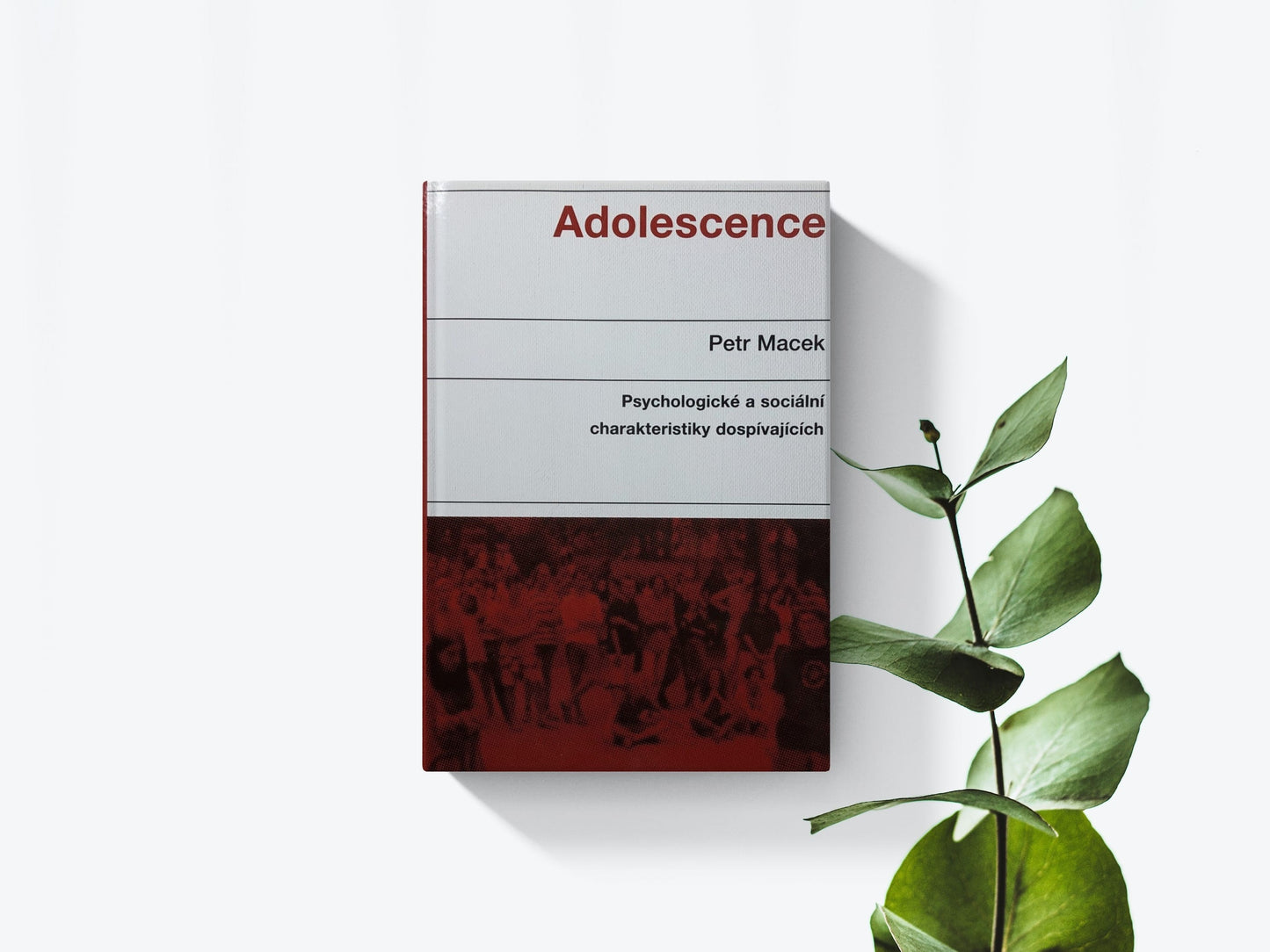 Adolescence - Petr Macek