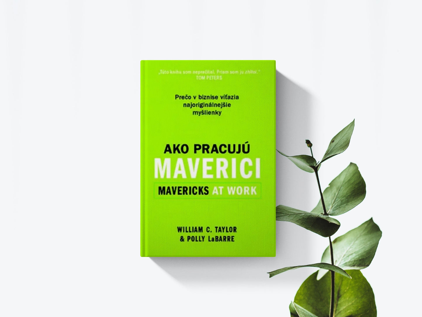 Ako pracujú maverici - William C. Taylor