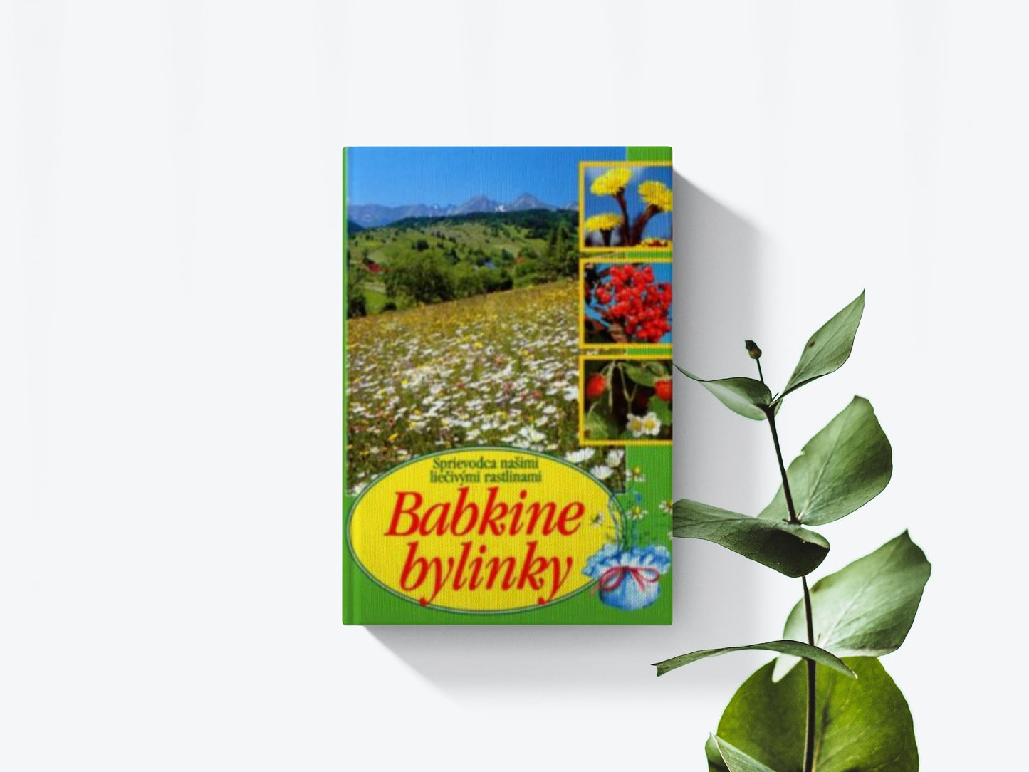 Babkine bylinky - Aurélia Dugasová, Dionýz Dugas