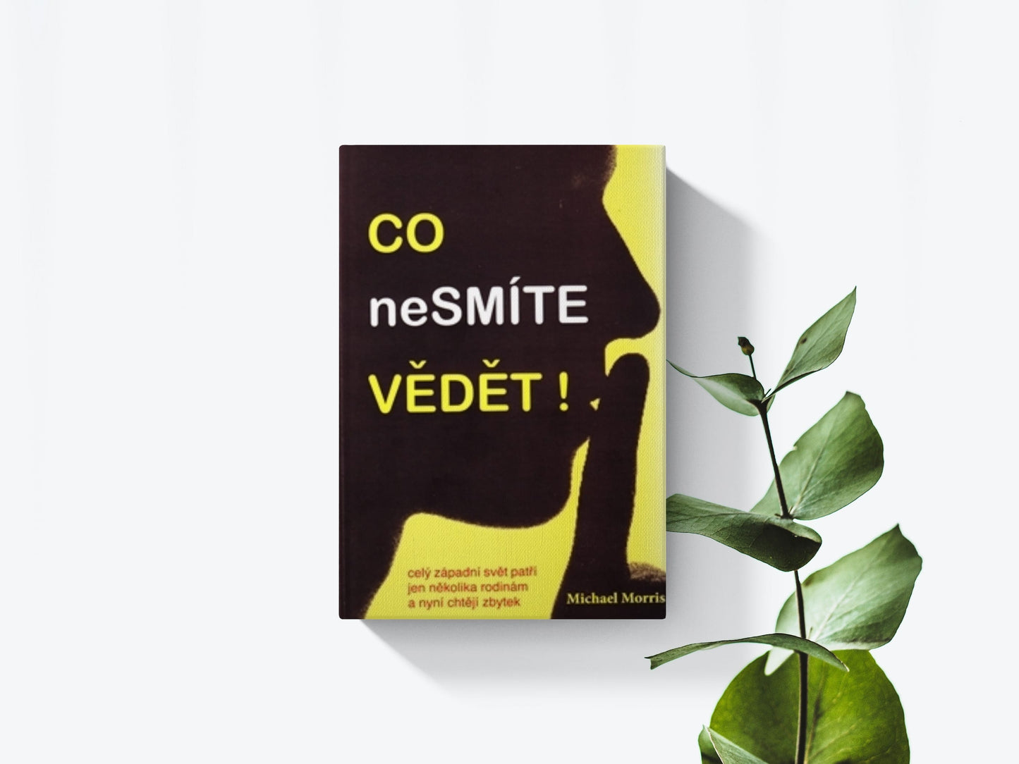Co nesmíte vědet - Michael Morris