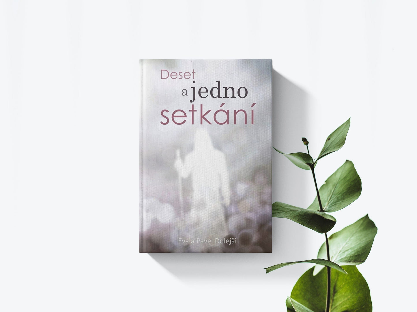 Deset a jedno setkani - Eva a Pavel Dolejší