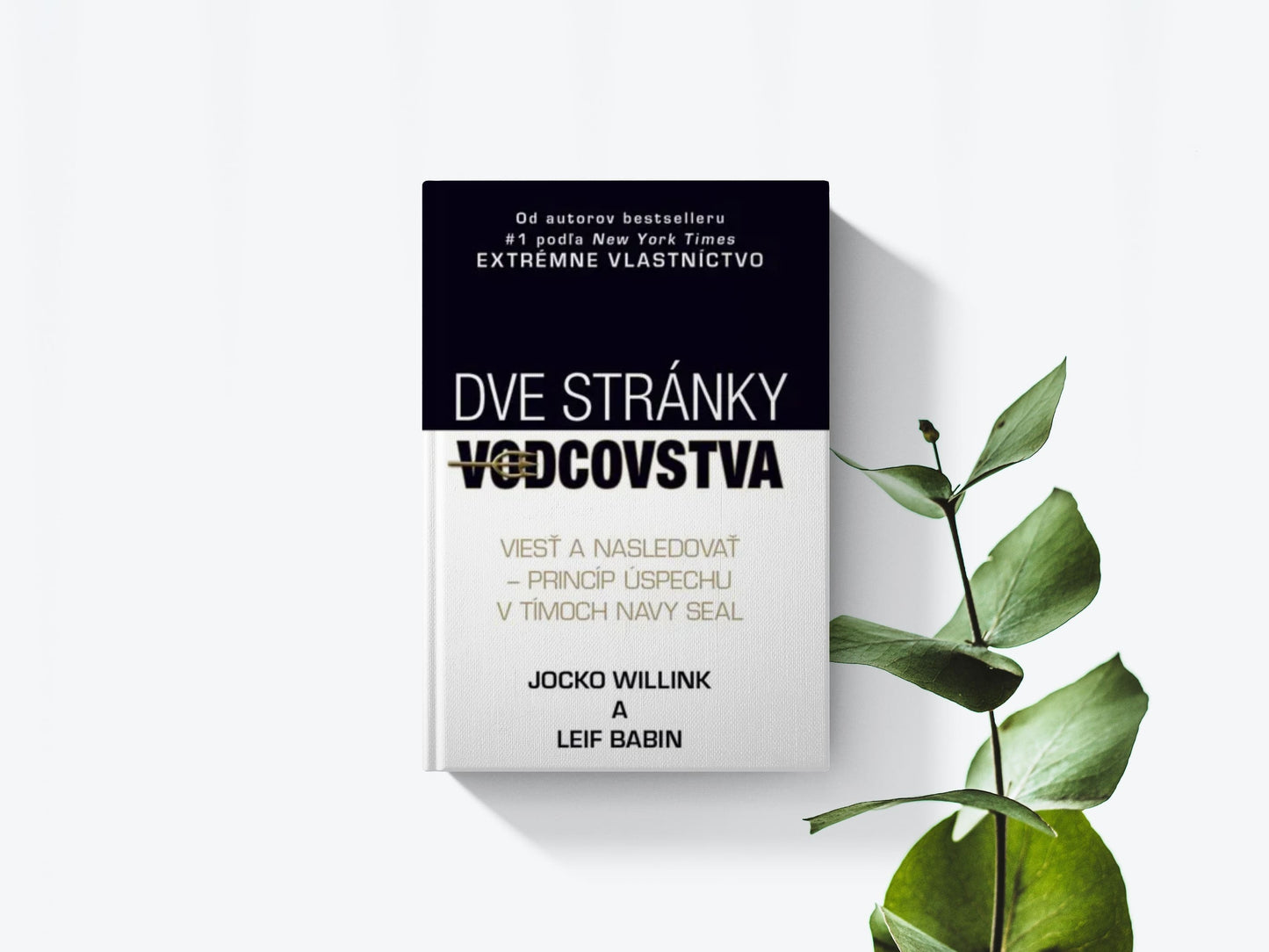 Dve stránky vodcovstva - Jocko Willink, Leif Babin