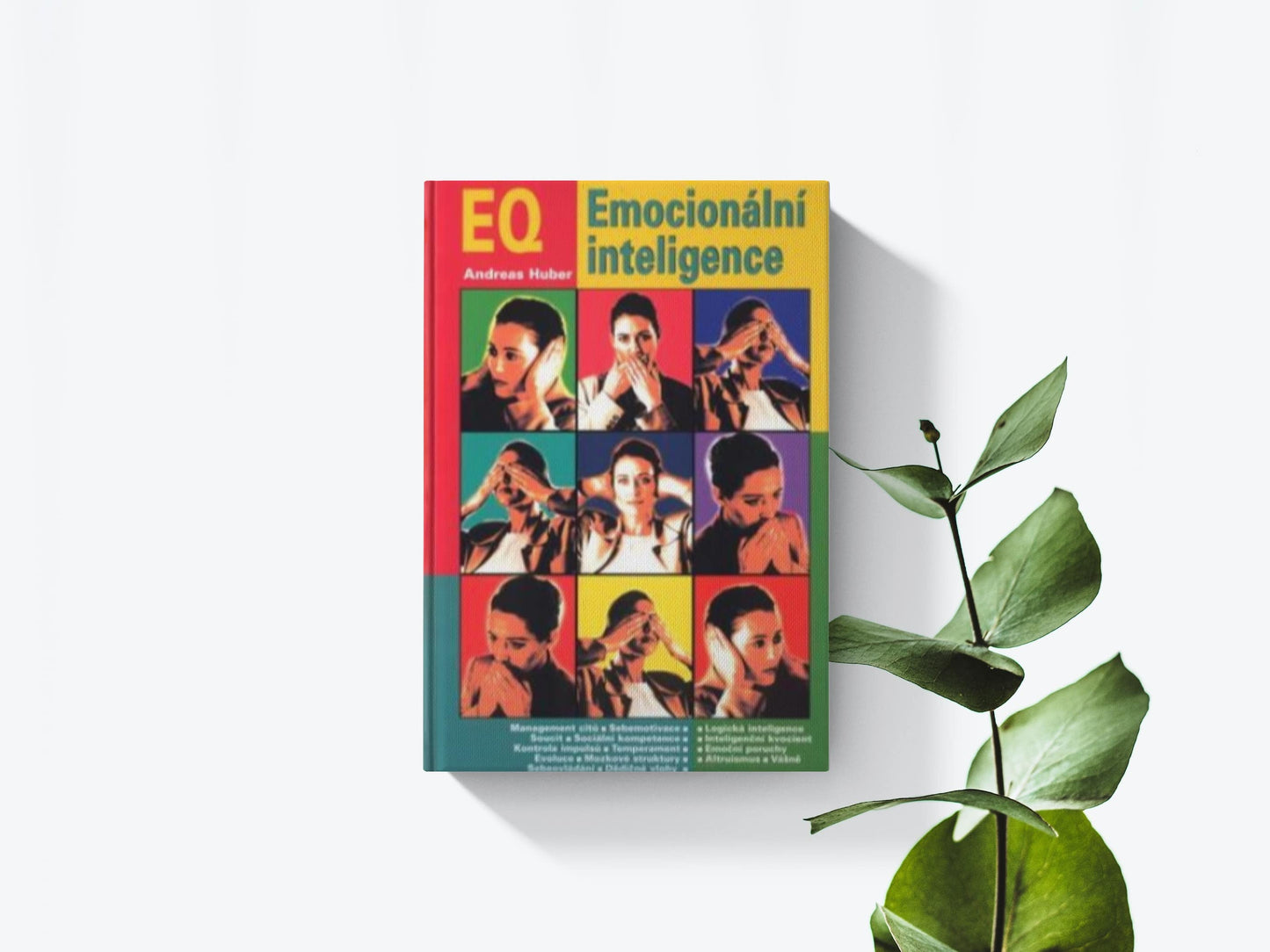 EQ - Emocionální inteligence - Andreas Huber