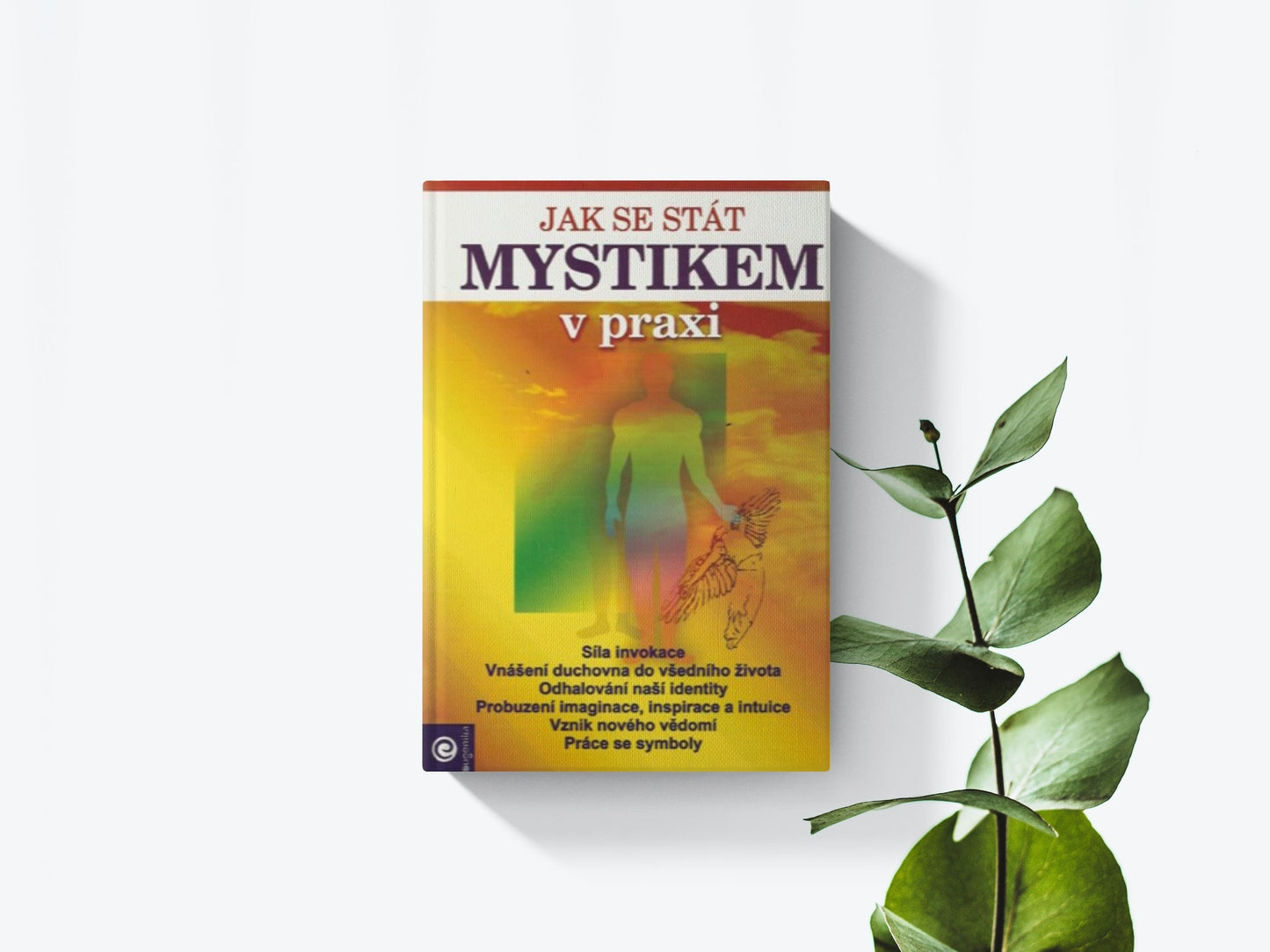 Jak se stát mystikem v praxi - Jacquelyn Small