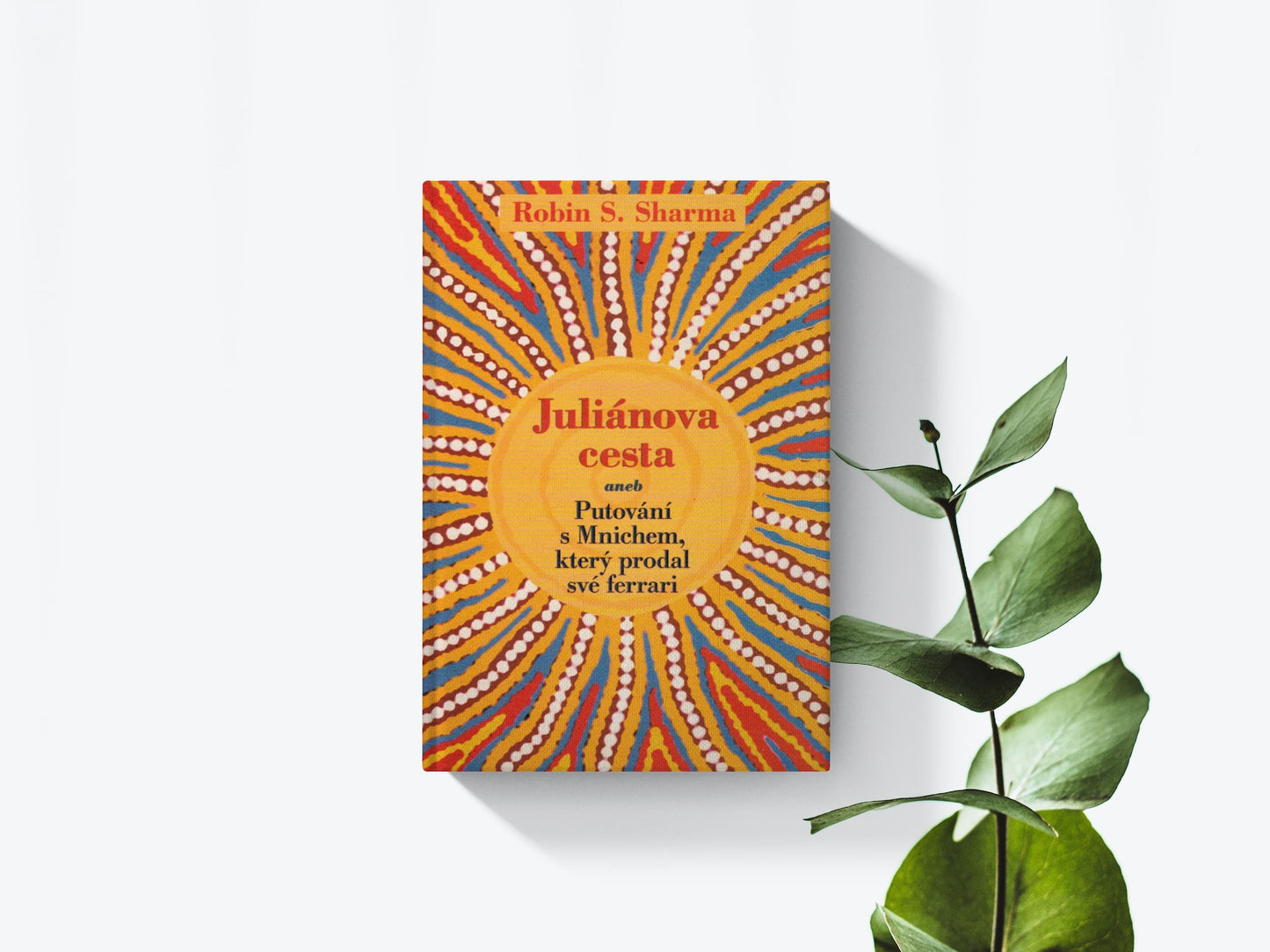 Juliánova cesta - Robin Sharma