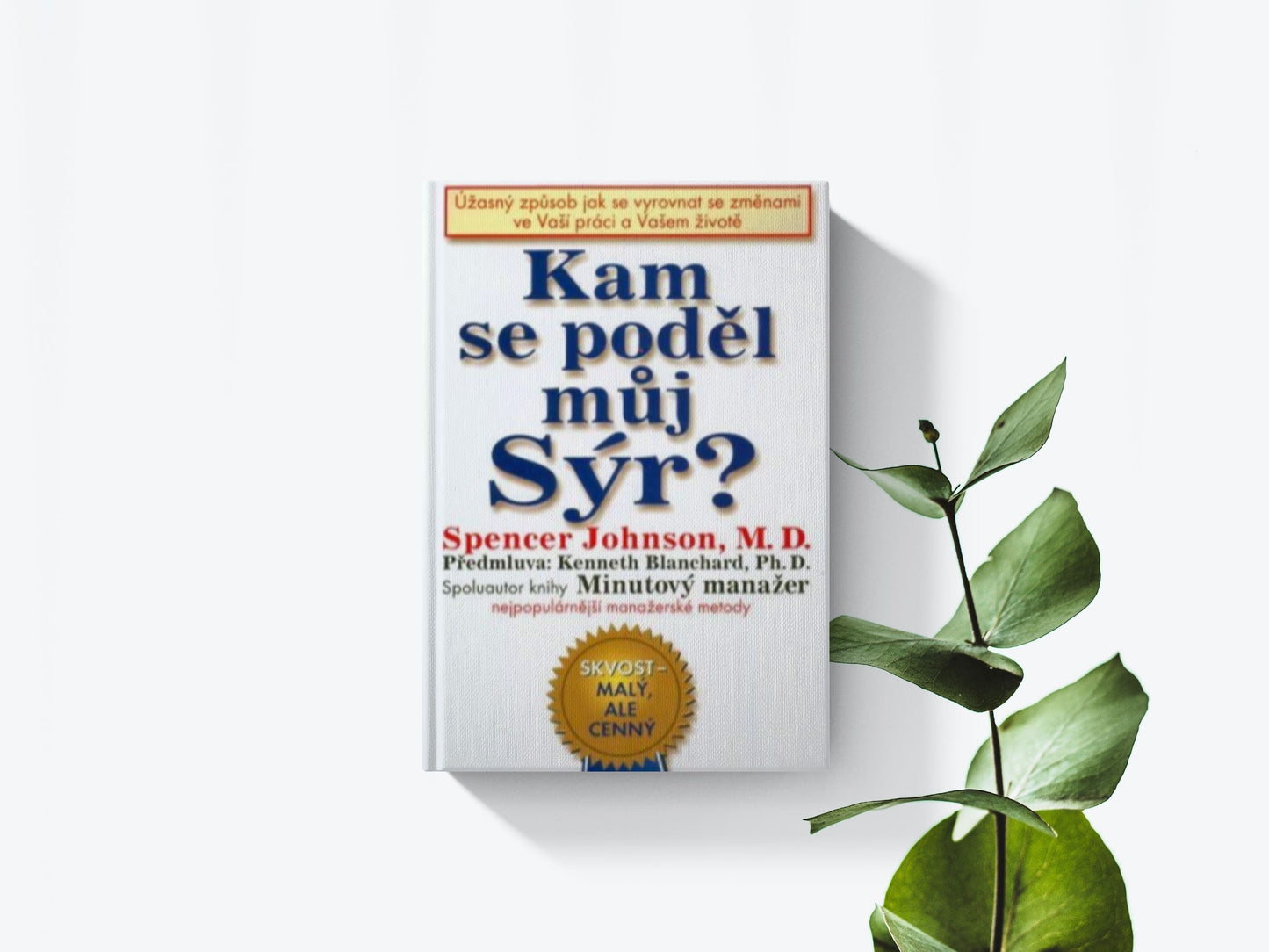 Kam se poděl múj sýr - Spencer Johnson