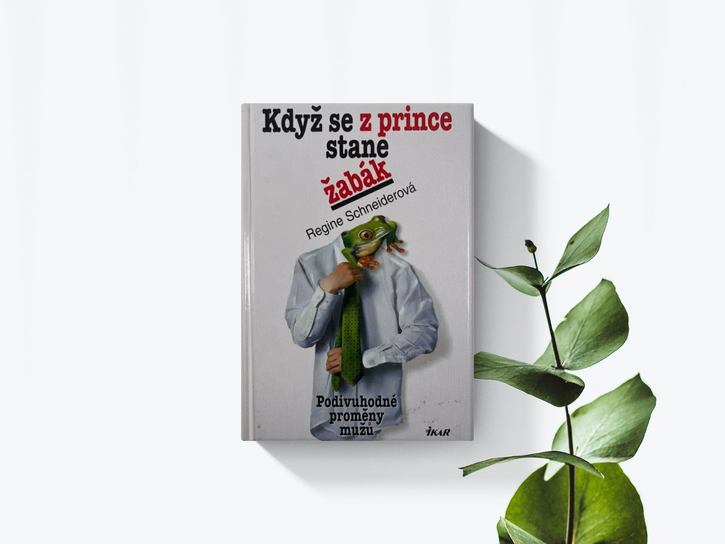 Když se z prince stane žabák - Regine Schneiderová