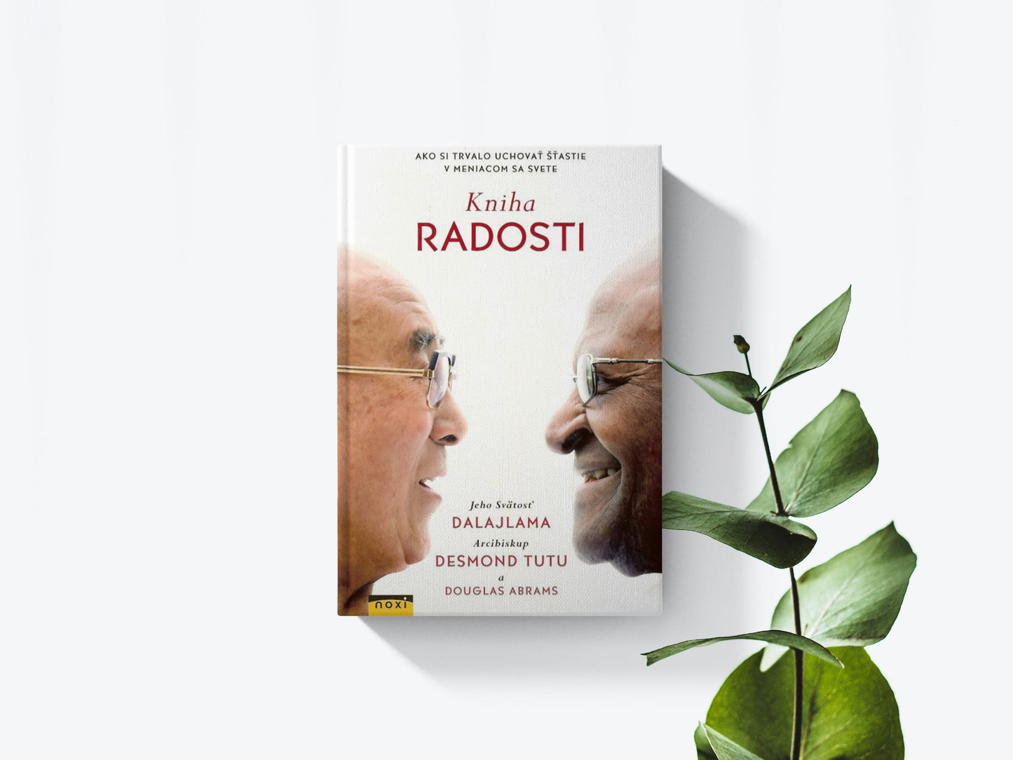 Kniha radosti - Dalajláma, Desmond Tutu, Douglas Abrams