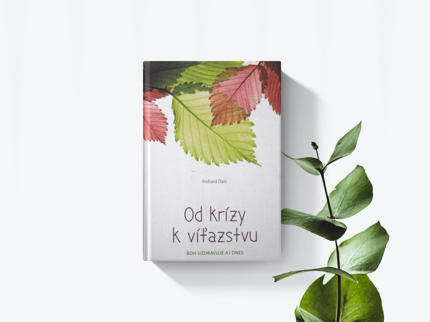 Od krízy k víťazstvu - Richard Daly