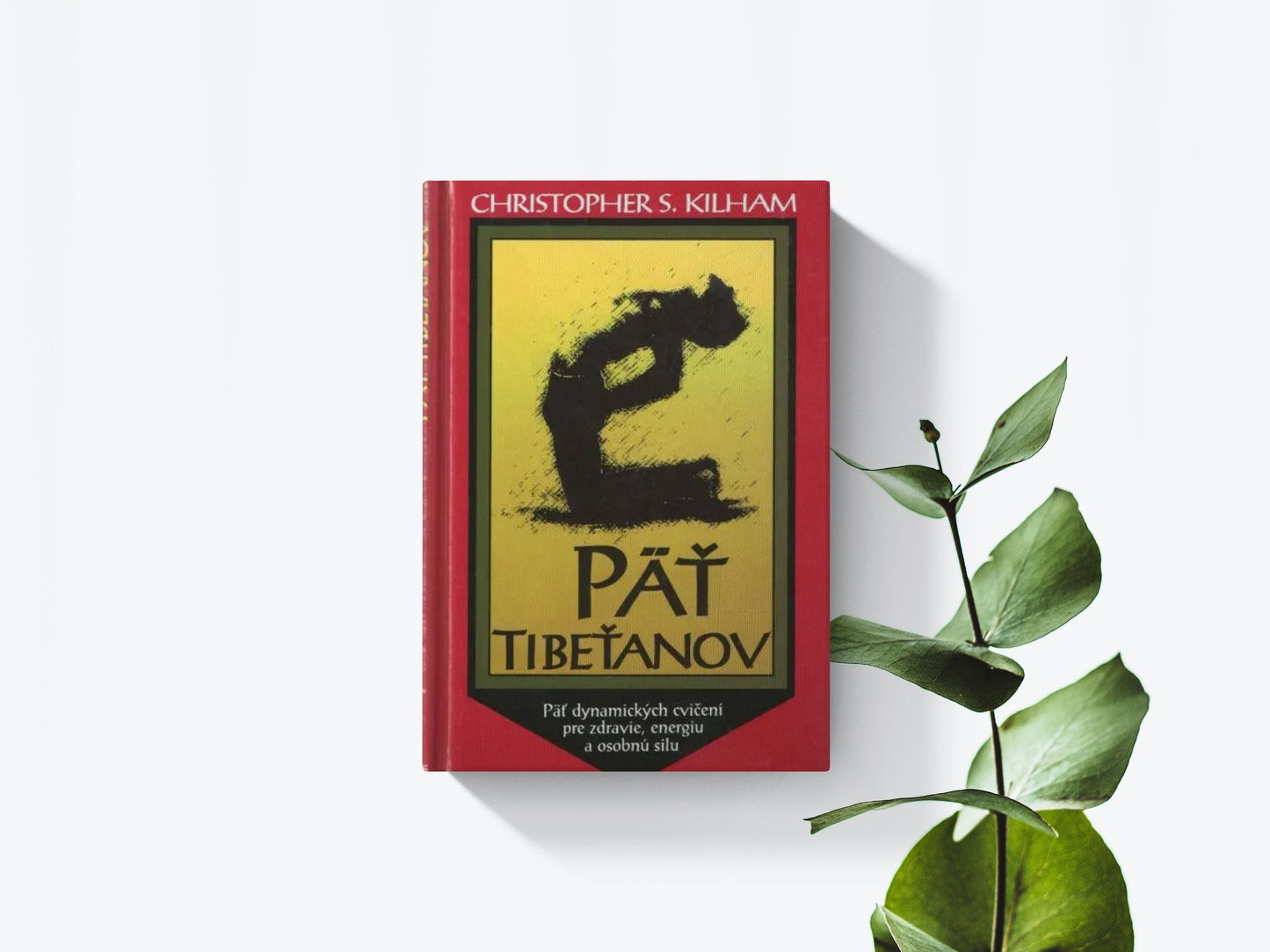 Päť tibeťanov - Christopher S. Kilham