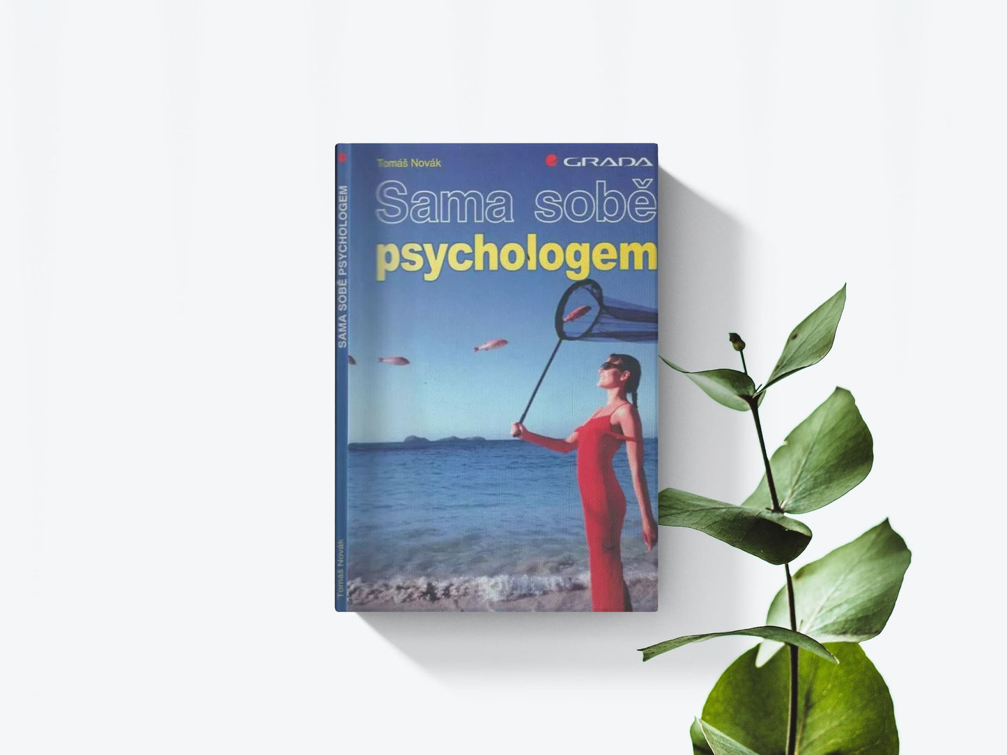 Sama sobě psychologem - Tomáš Novák