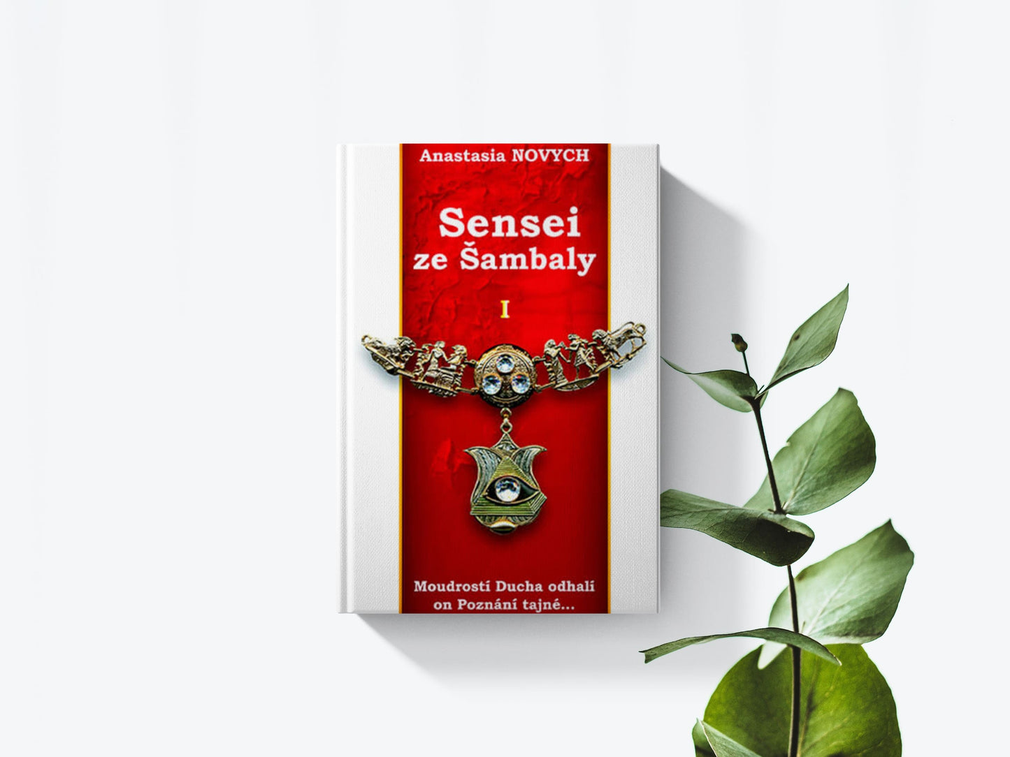 Sensei zo Šambaly 1 - Anastasia Novych