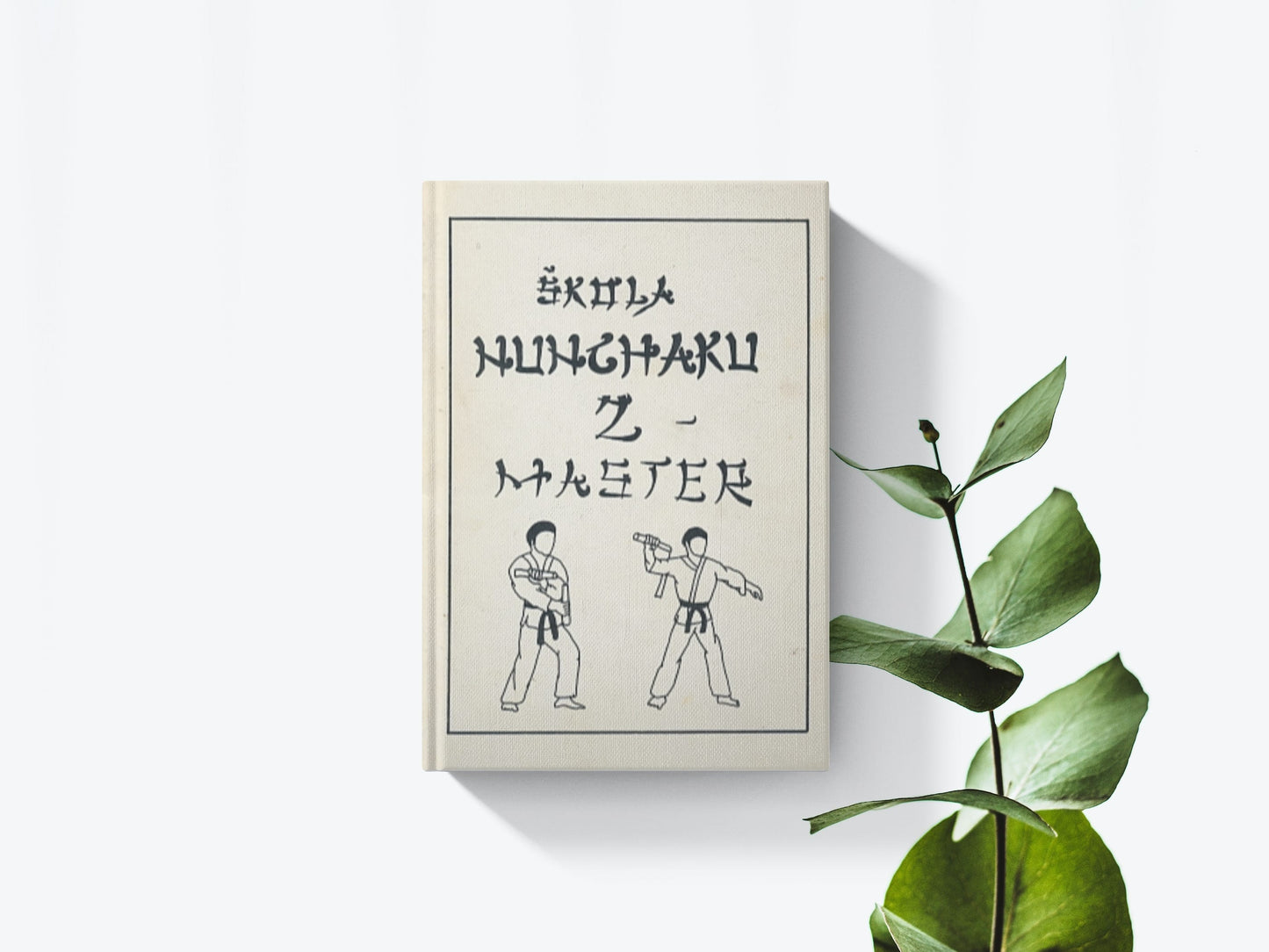 Škola nunchaku 2 - Master - Anton Zelenaj