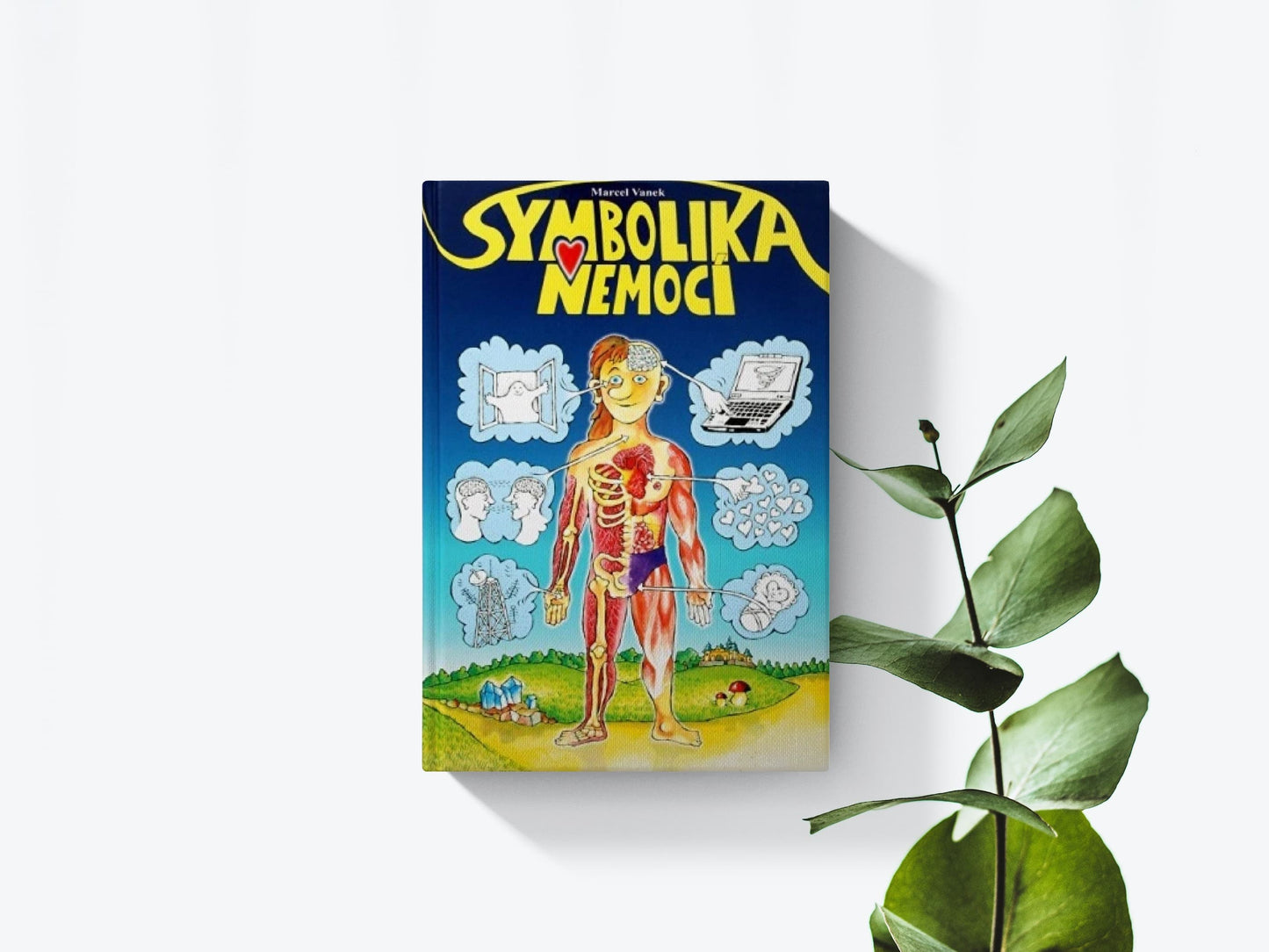 Symbolika nemocí - Marcel Vanek