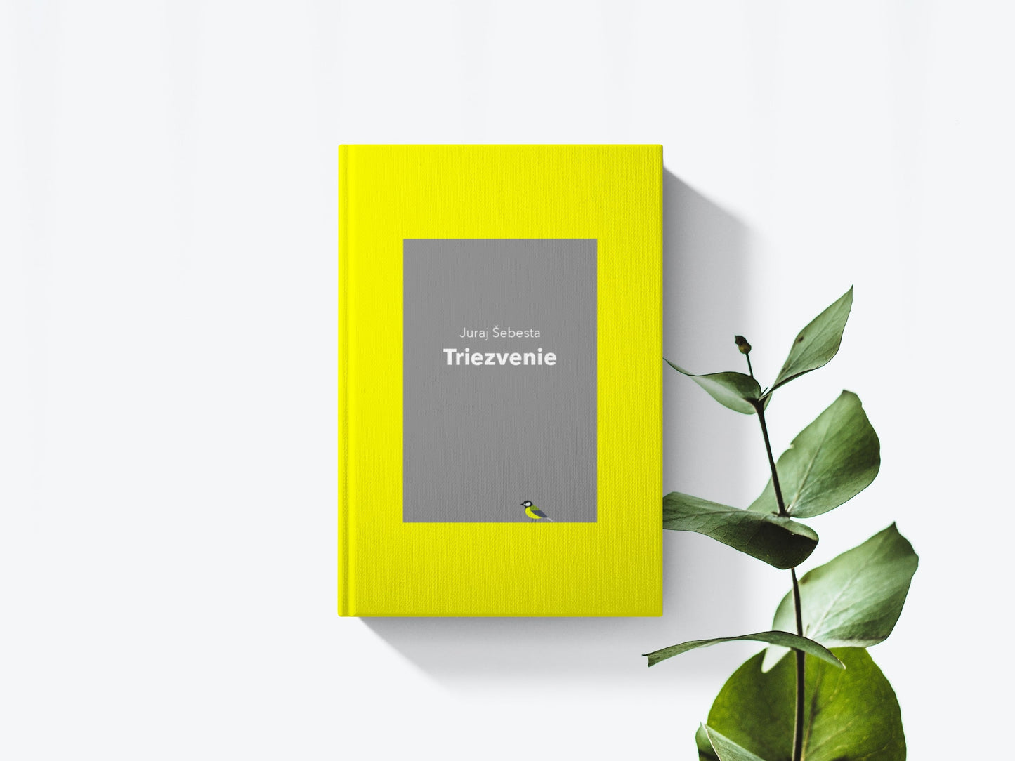 Triezvenie - Juraj Šebesta