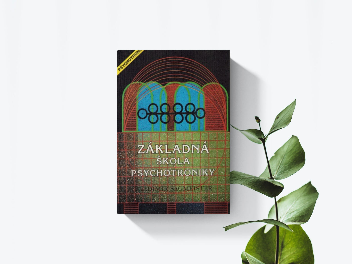 Základná škola psychotroniky - Vladimír Sagmeister