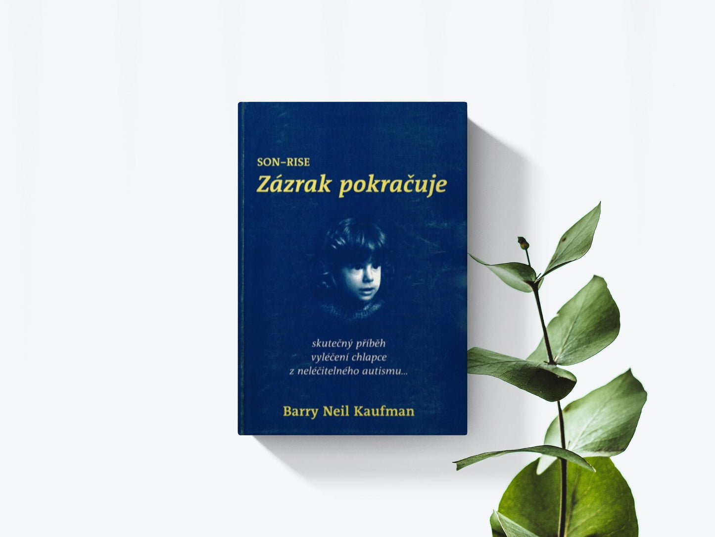 Zázrak pokračuje - SON RISE - Barry Neil Kaufman