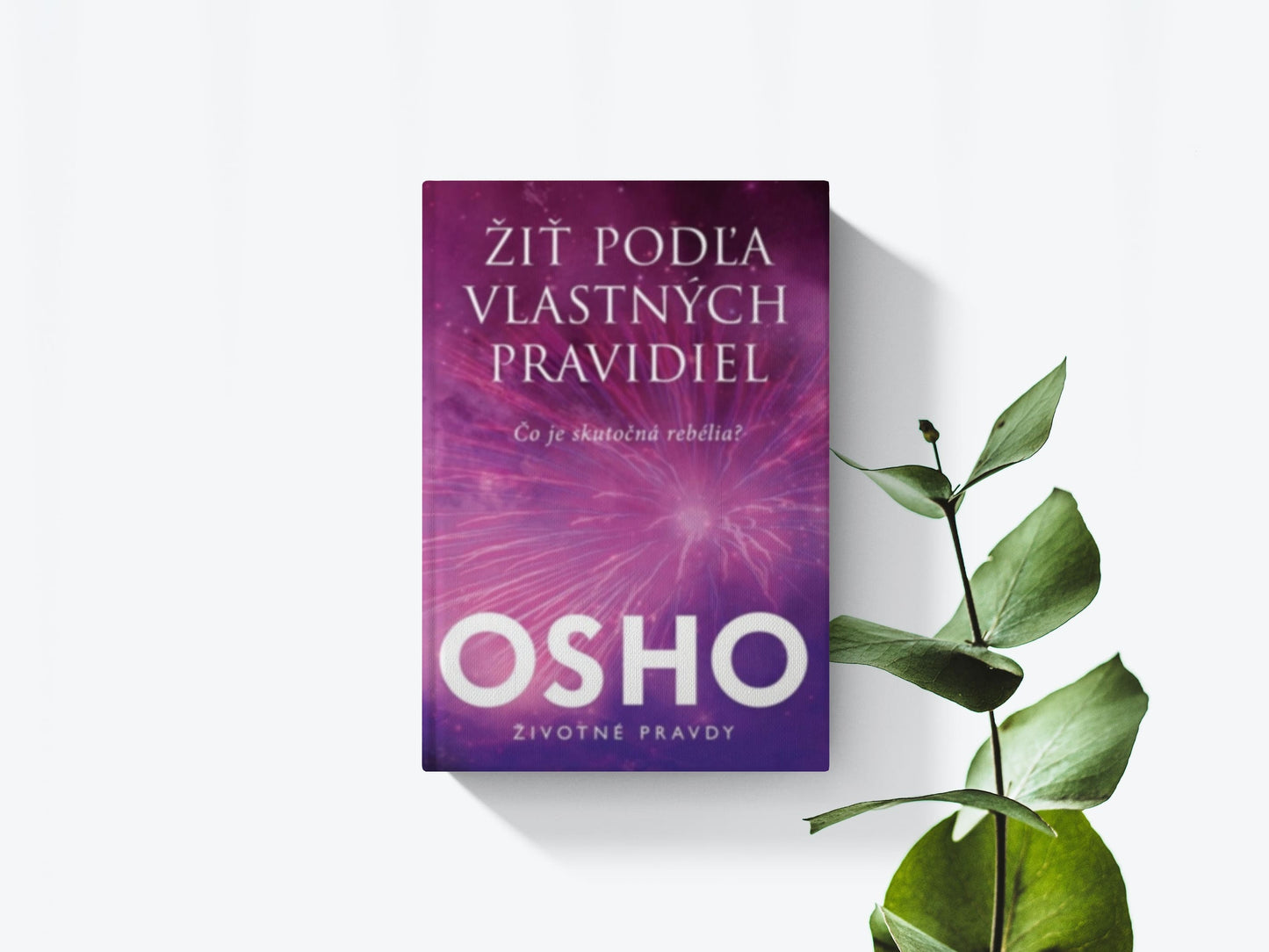 Žiť podľa vlastných pravidiel - Osho