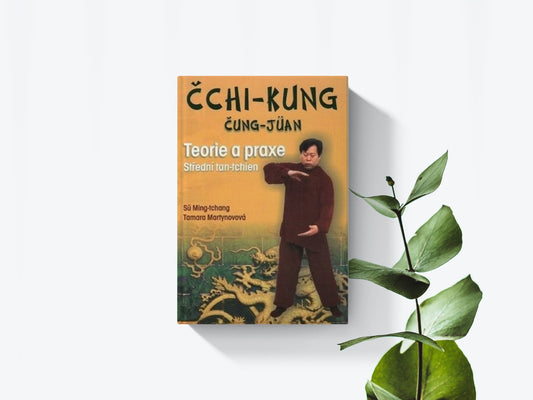 Čchi kung - Teorie a praxe - Čung Juan