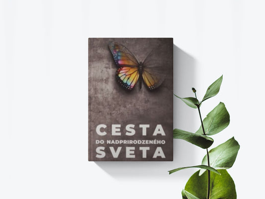 Cesta do nadprirodzeného sveta - Roger J. Monreau