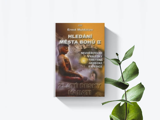 Hledání města bohú II. - Ernst Muldašev