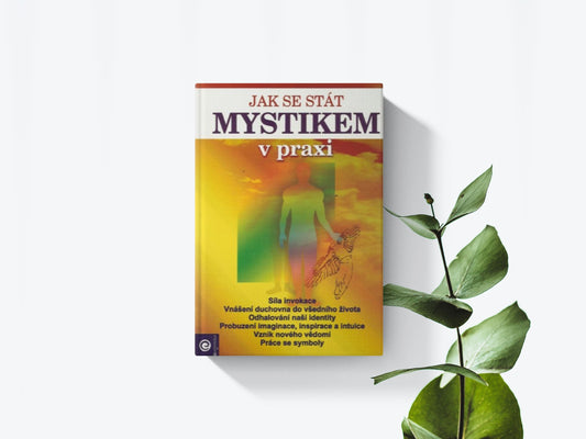 Jak se stát mystikem v praxi - Jacquelyn Small
