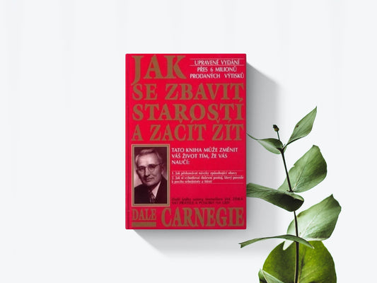 Jak se zbavit starostí a začít žít - Dale Carnegie