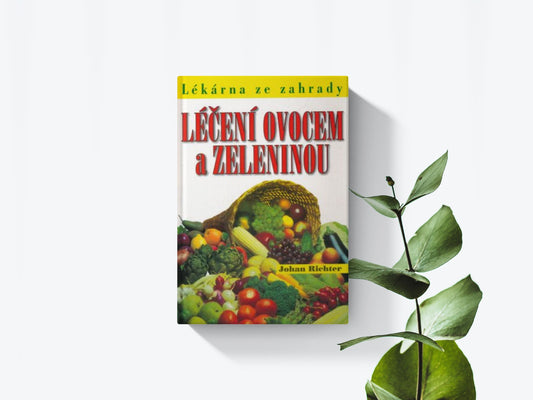 Léčení ovocem a zeleninou - Johan Richter