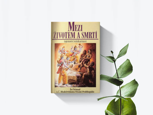Meyi životem a smrtí - Šrí Šrímad A. Č. Bhaktivedanta Swami Prabhupáda