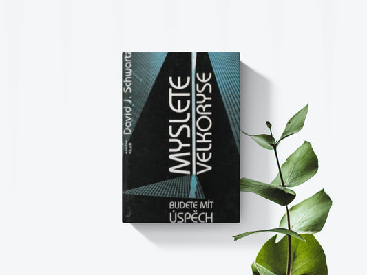 Myslete velkoryse - David J. Schwartz