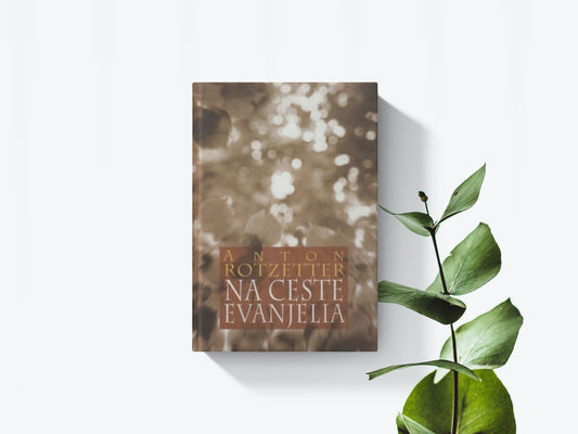 Na ceste evanjelia - Anton Rotzetter
