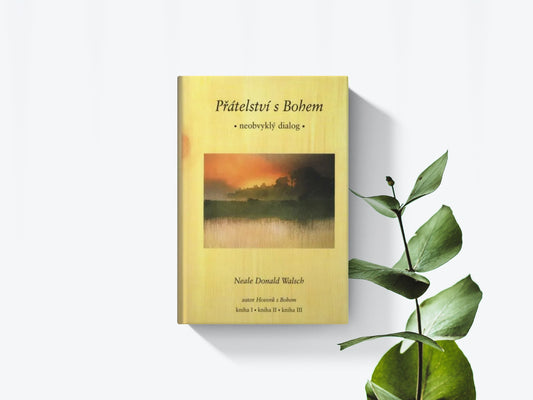Přátelství s bohem - Neobvyklý dialog - Neale Donald Walsch