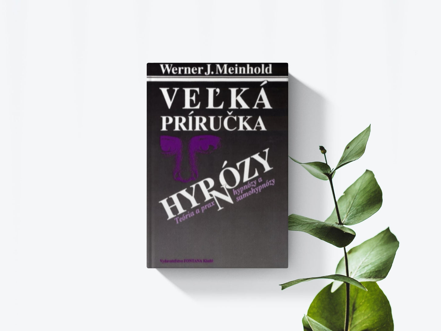 Veľká príručka hypnózy - Werner J. Meinhold