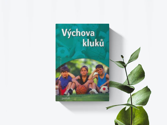 Výchova klukú - Steve Biddulph