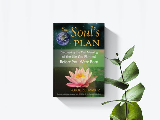 Your soul´s plan - Robert Schwartz