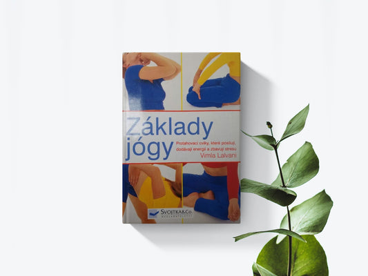 Základy jogy - Vilma Lalvani